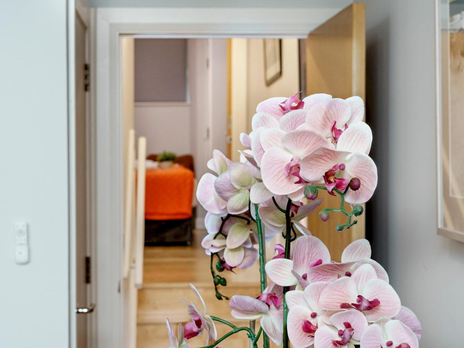 The Linen Mill Apartment Pass The Keys بلفاست المظهر الخارجي الصورة